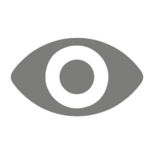 grey eye icon